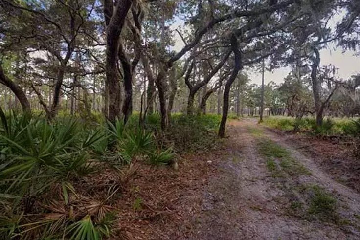 Split Oak Forest in Orlando
